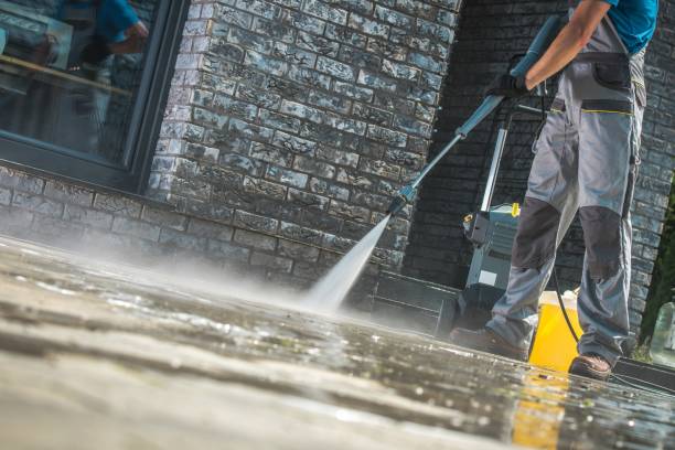 Animal Enclosure Cleaning in Colstrip, MT